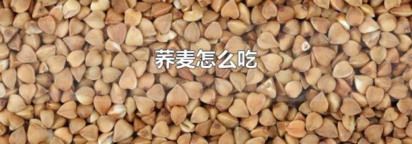 荞麦怎么吃