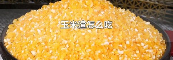 玉米渣怎么吃