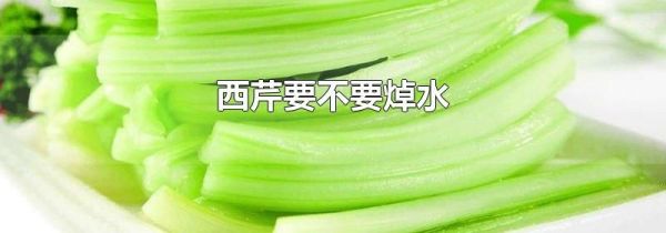 西芹要不要焯水