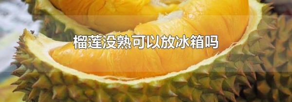 榴莲没熟可以放冰箱吗
