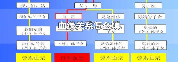 血缘关系怎么填