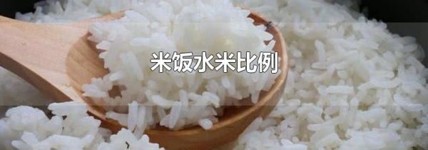 米饭水米比例
