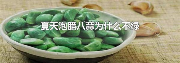 夏天泡腊八蒜为什么不绿