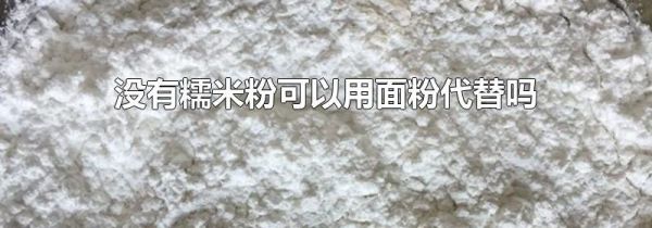 没有糯米粉可以用面粉代替吗