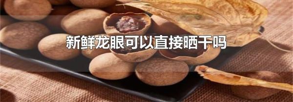 新鲜龙眼可以直接晒干吗