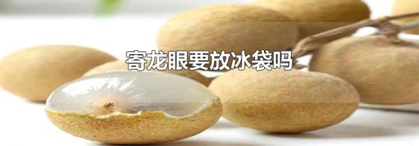 寄龙眼要放冰袋吗