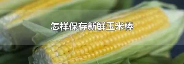 怎样保存新鲜玉米棒