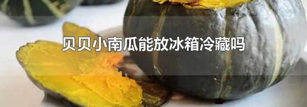 贝贝小南瓜能放冰箱冷藏吗