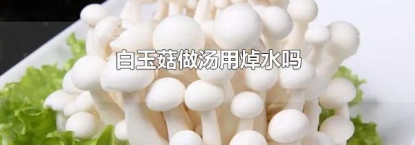 白玉菇做汤用焯水吗