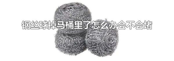 钢丝球掉马桶里了怎么办会不会堵