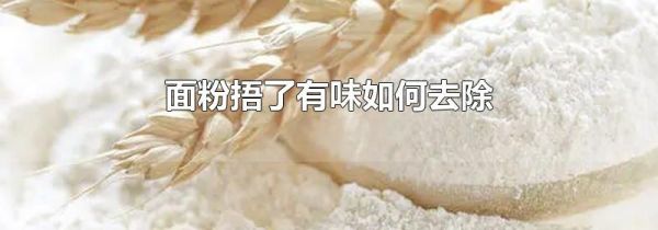 面粉捂了有味如何去除