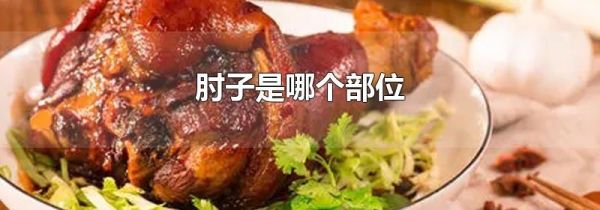 肘子是哪个部位
