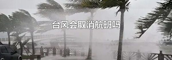 台风会取消航班吗