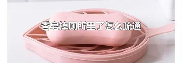 香皂掉厕所里了怎么疏通