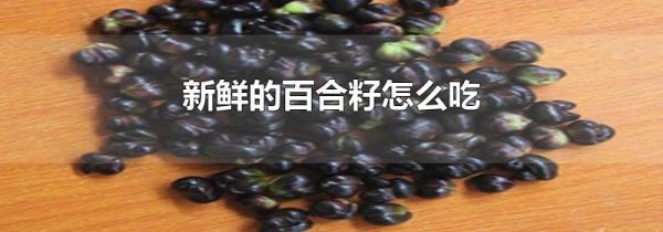 新鲜的百合籽怎么吃