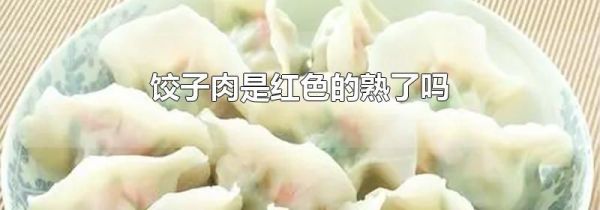 饺子肉是红色的熟了吗