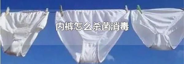 内裤怎么杀菌消毒