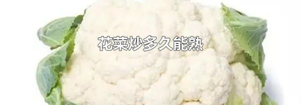 花菜炒多久能熟