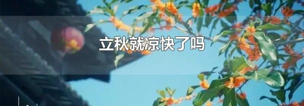 立秋就凉快了吗