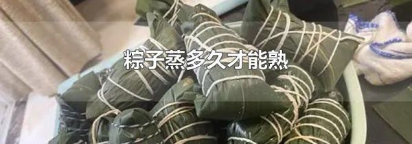 粽子蒸多久才能熟