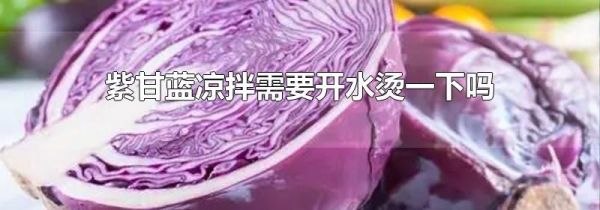 紫甘蓝凉拌需要开水烫一下吗
