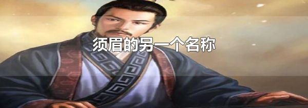 须眉的另一个名称