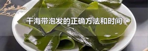 干海带泡发的正确方法和时间