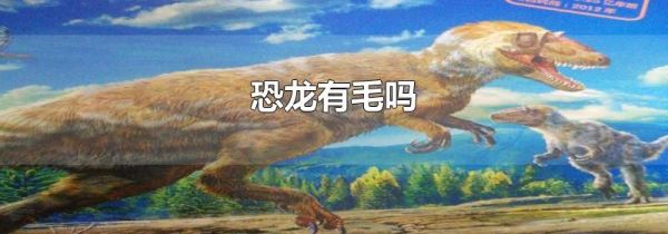 恐龙有毛吗