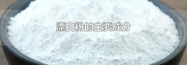 漂白粉的主要成分