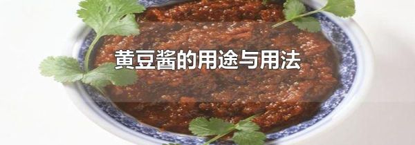 黄豆酱的用途与用法