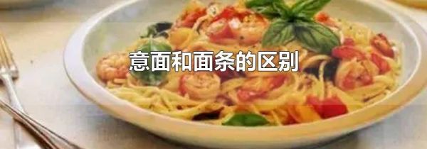 意面和面条的区别