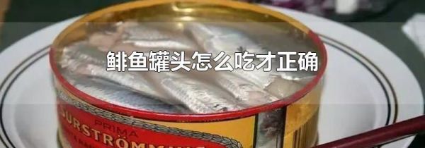 鲱鱼罐头怎么吃才正确