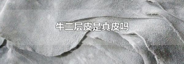 牛二层皮是真皮吗
