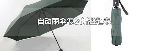 自动雨伞怎么折叠起来