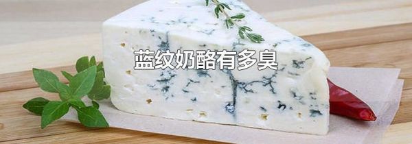 蓝纹奶酪有多臭
