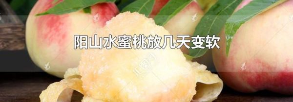 阳山水蜜桃放几天变软