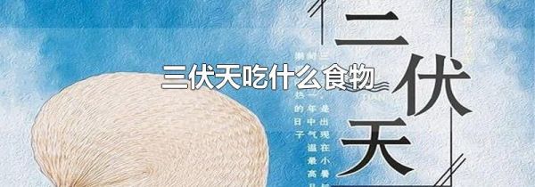 三伏天吃什么食物