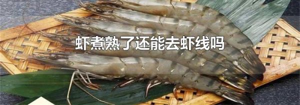 虾煮熟了还能去虾线吗
