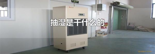 抽湿是干什么的