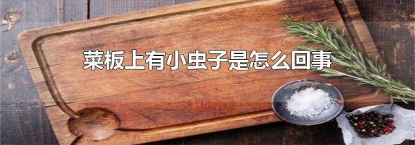 菜板上有小虫子是怎么回事