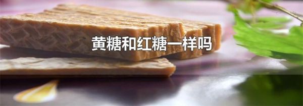 黄糖和红糖一样吗