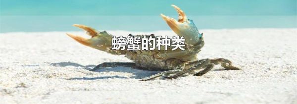 螃蟹的种类