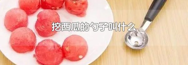 挖西瓜的勺子叫什么