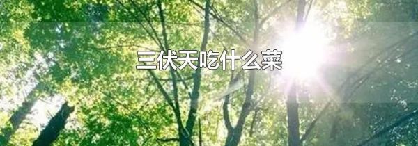 三伏天吃什么菜