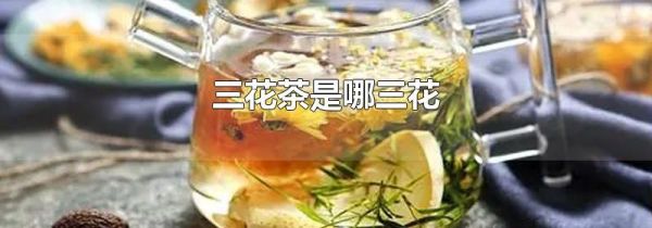 三花茶是哪三花