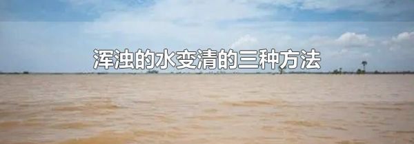 浑浊的水变清的三种方法