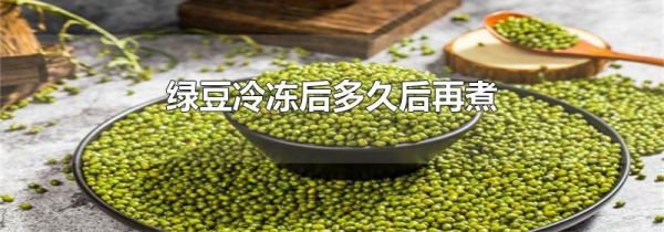 绿豆冷冻后多久后再煮