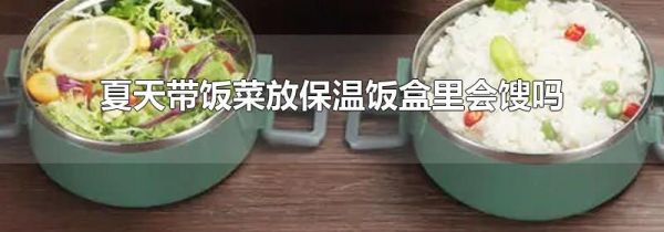 夏天带饭菜放保温饭盒里会馊吗