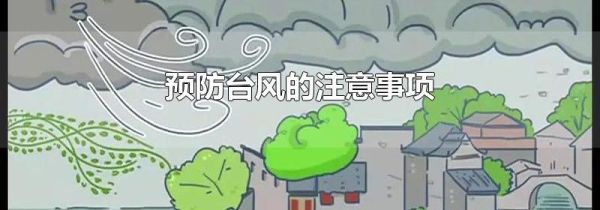 预防台风的注意事项