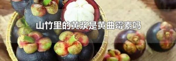 山竹里的黄浆是黄曲霉素吗